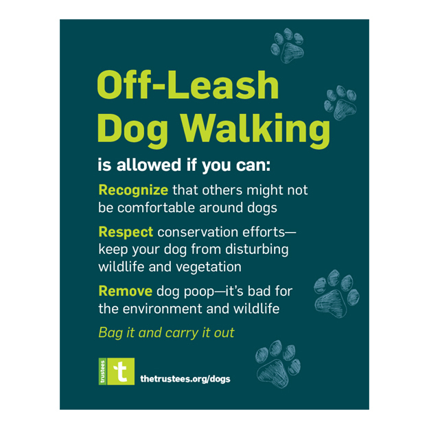 text sign dogs off leash walking- teal