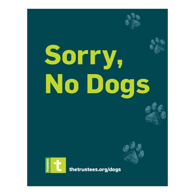 text sign sorry no dogs -teal